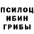 Галлюциногенные грибы Psilocybe truekasia12
