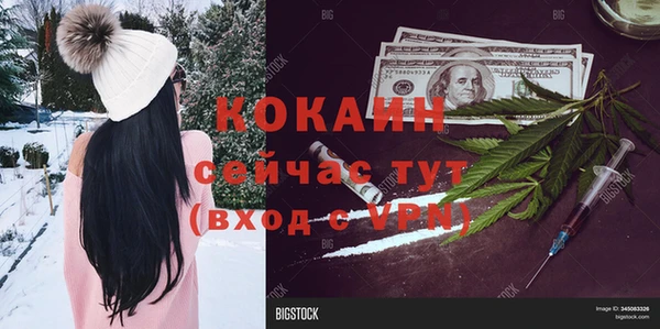 2c-b Алзамай
