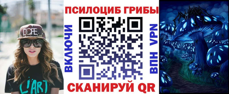 Галлюциногенные грибы ЛСД  где продают наркотики  Строитель 